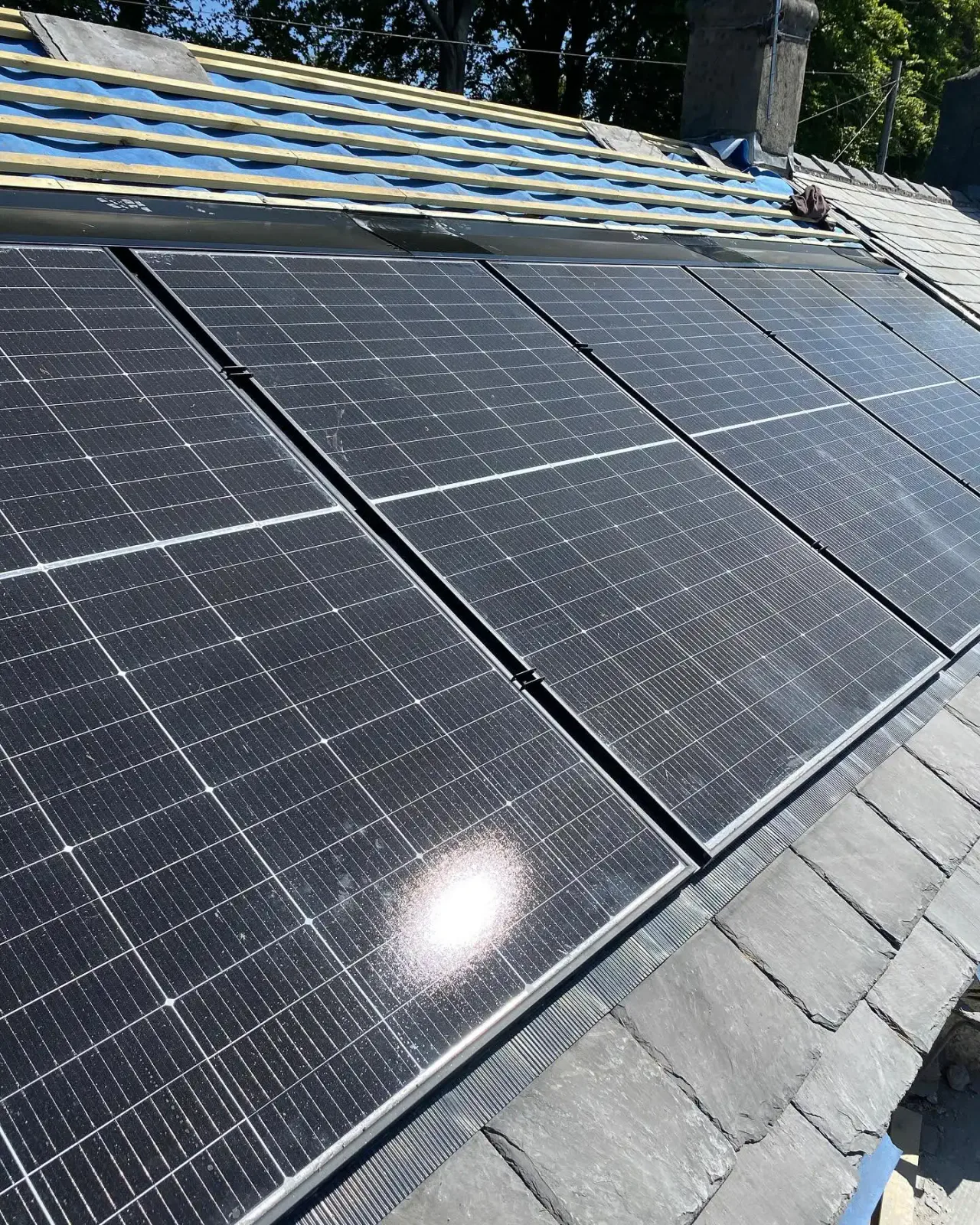 Recent DPF Electrical project